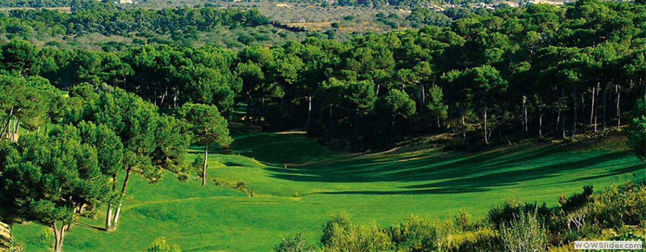 vall dor golf course-1